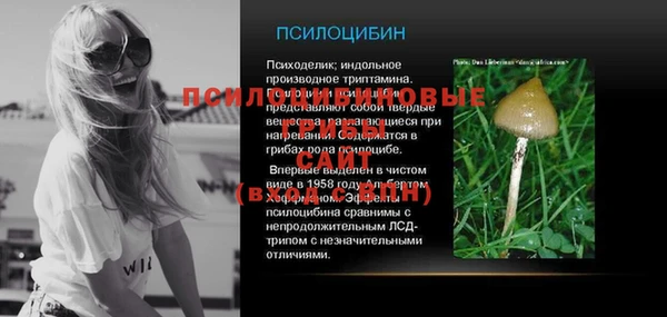 spice Богданович
