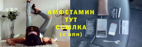 молекула духа Богородицк