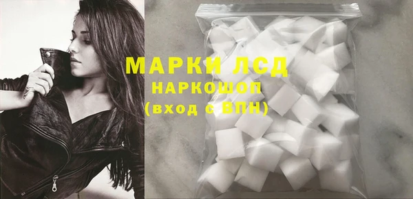 индика Бугульма
