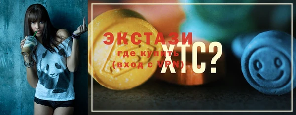 молекула духа Богородицк