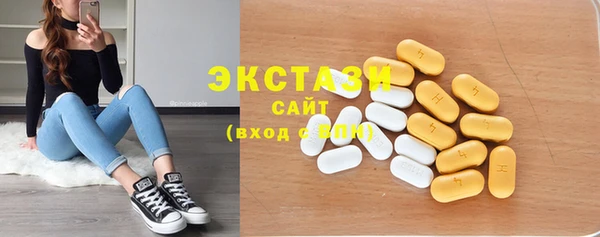 индика Бугульма