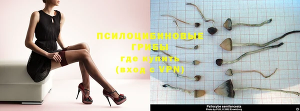 spice Богданович