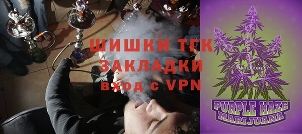 твердый Богородск