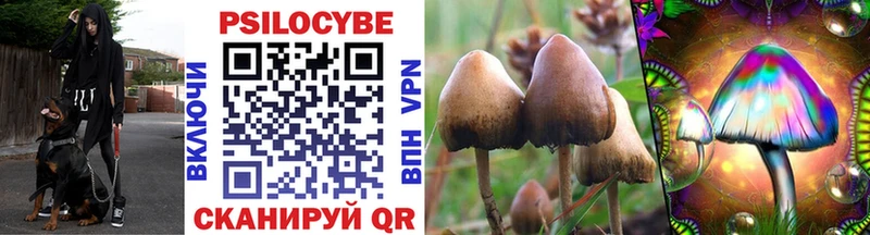 Псилоцибиновые грибы GOLDEN TEACHER  Семилуки 