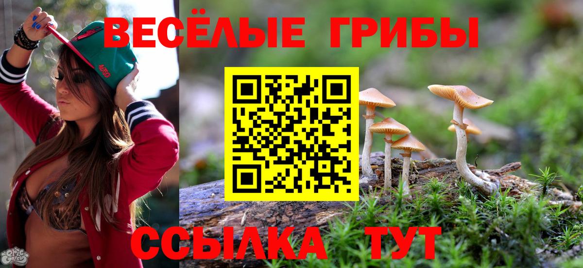 Галлюциногенные грибы мицелий Семилуки
