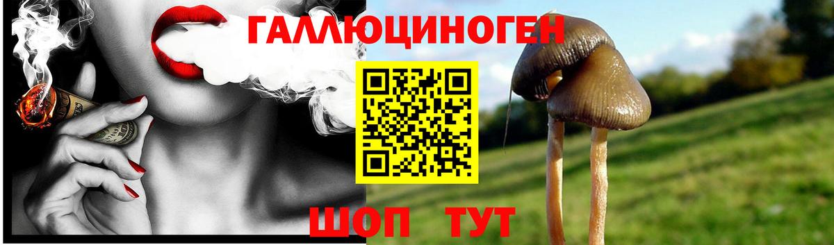 наркотики  Вход с VPN  Семилуки  Псилоцибиновые грибы мицелий 